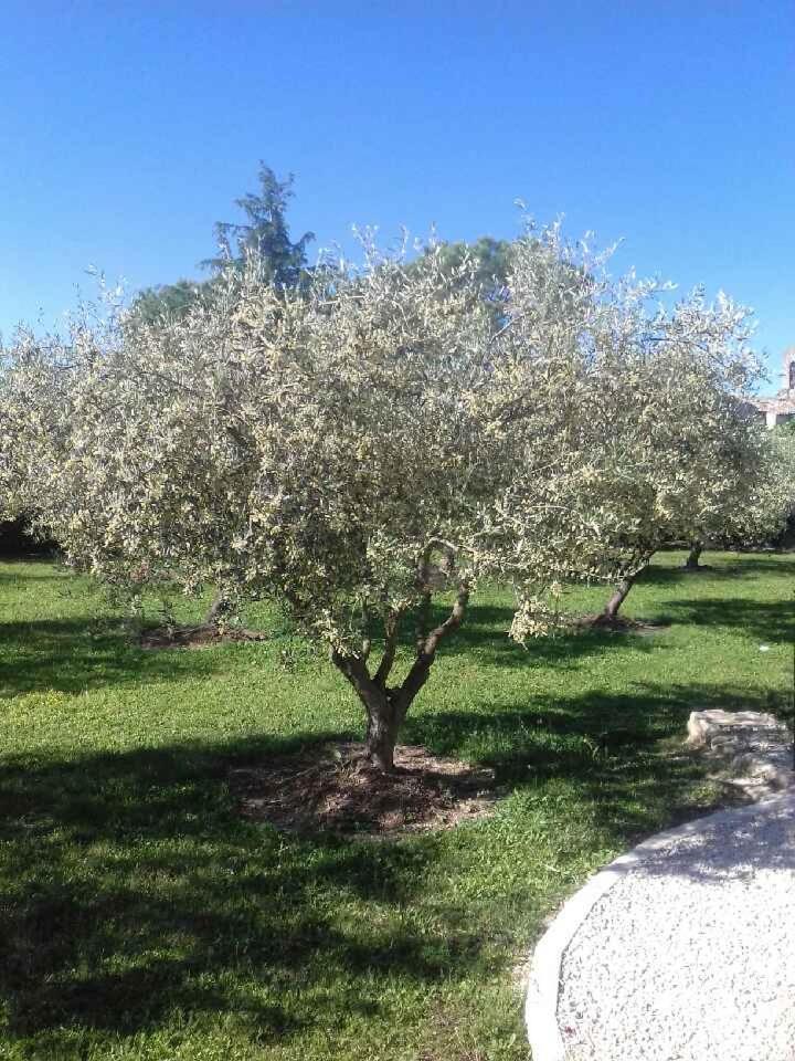 La Clastre Location D'Un Studio Avec Piscine Et Clim Pres D'Uzes Bourdic المظهر الخارجي الصورة